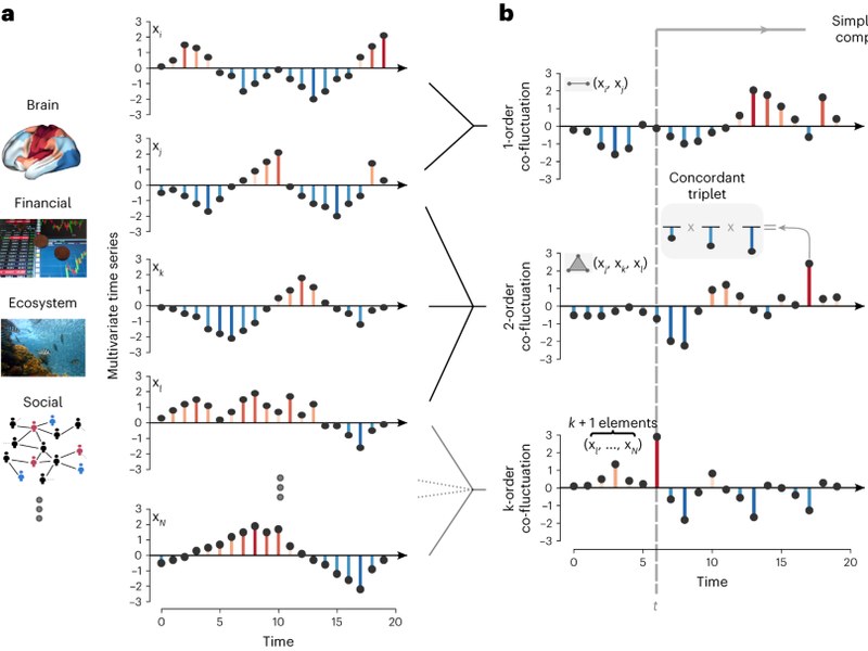 Figure: higher-order organization of multivariate time series
