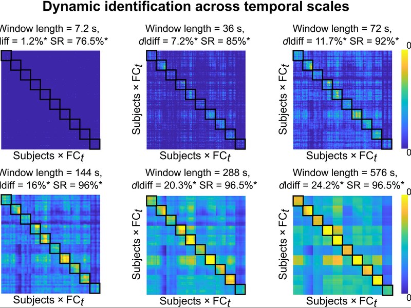 Figure: dynamic identification of brain fingerprints across temporal scales